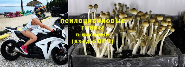 кристаллы Белокуриха