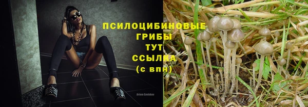 прущая мука Белоозёрский